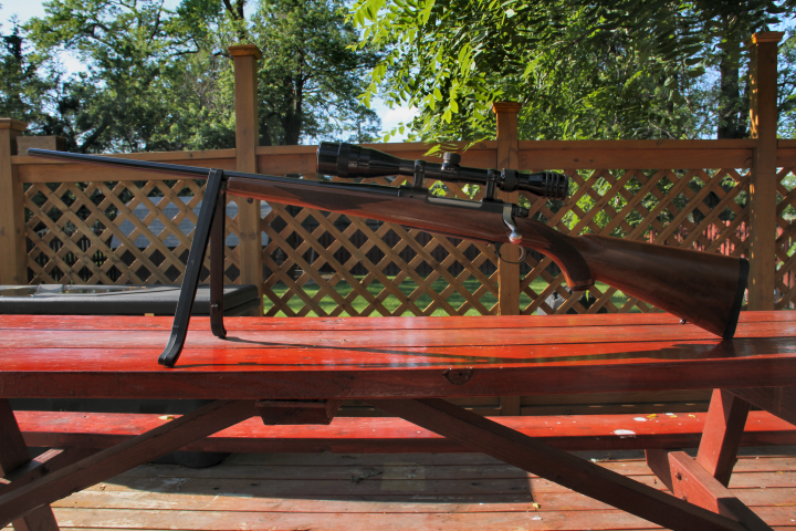 Ruger 1